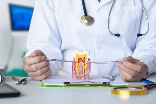 Best Emergency Root Canal Therapy in Chaska, MN